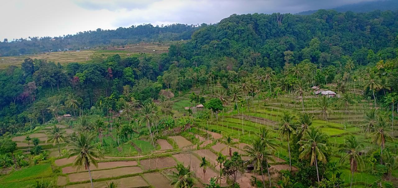 Отель Green Rinjani Guest Houst Сенару Экстерьер фото